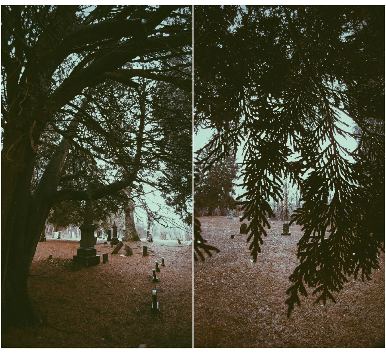 Instasize_0213032139.jpg