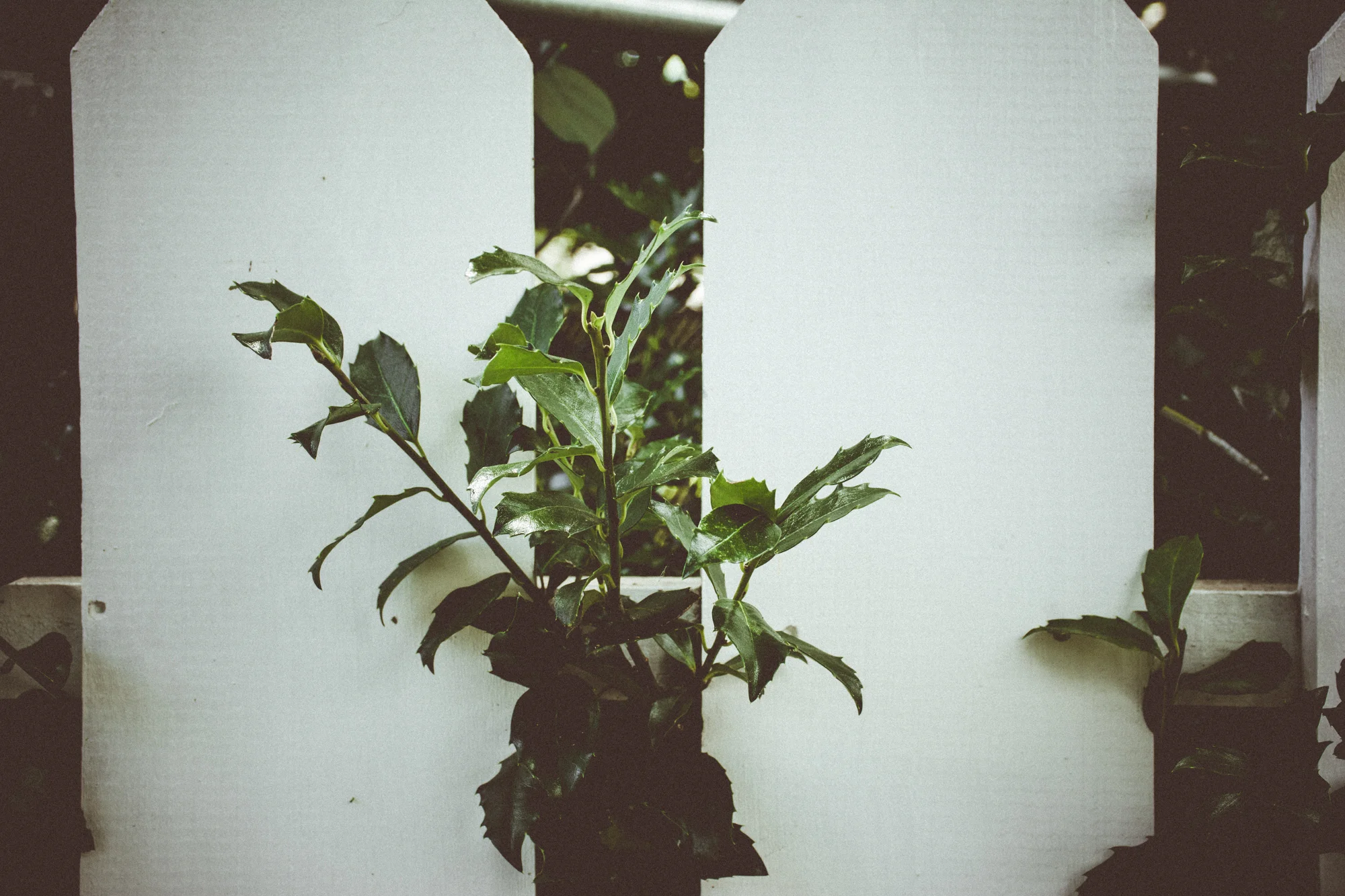 DSC_3011.jpg