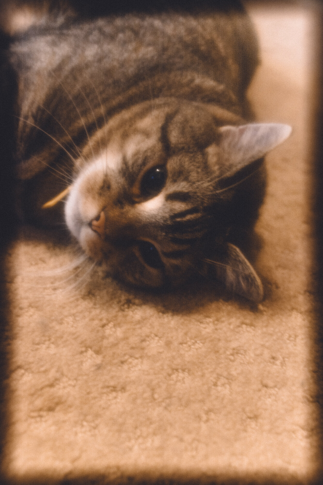 DSC_5353.jpg