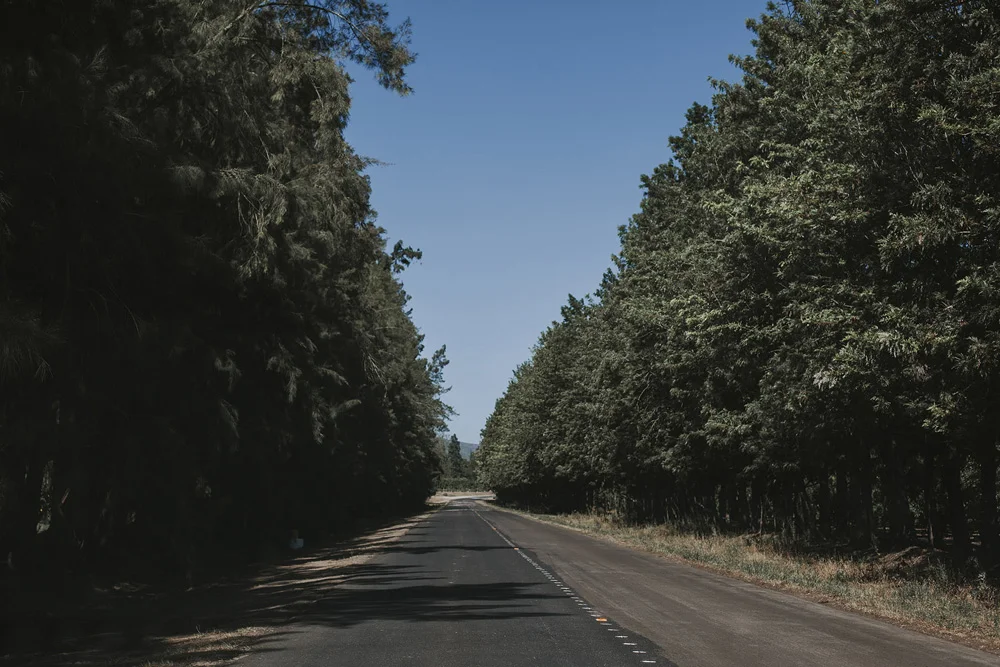 66.jpg