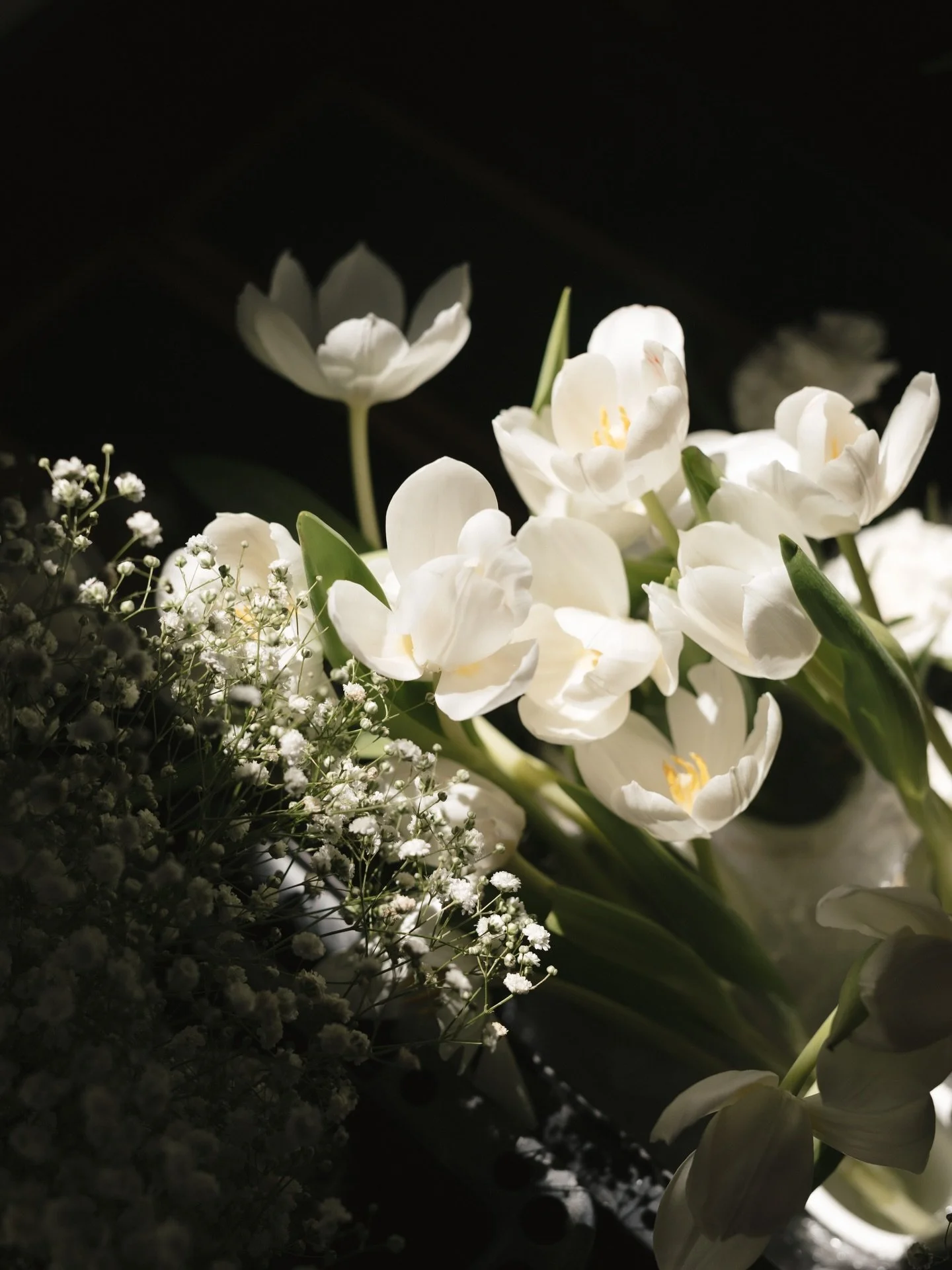 Jarred &amp; Demi getting ready, while taking it easy with la familia