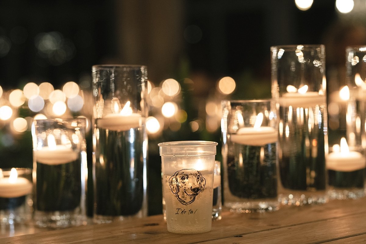 RosebarnWeddingbyPortElizabethWeddingPhotographers_060.jpg