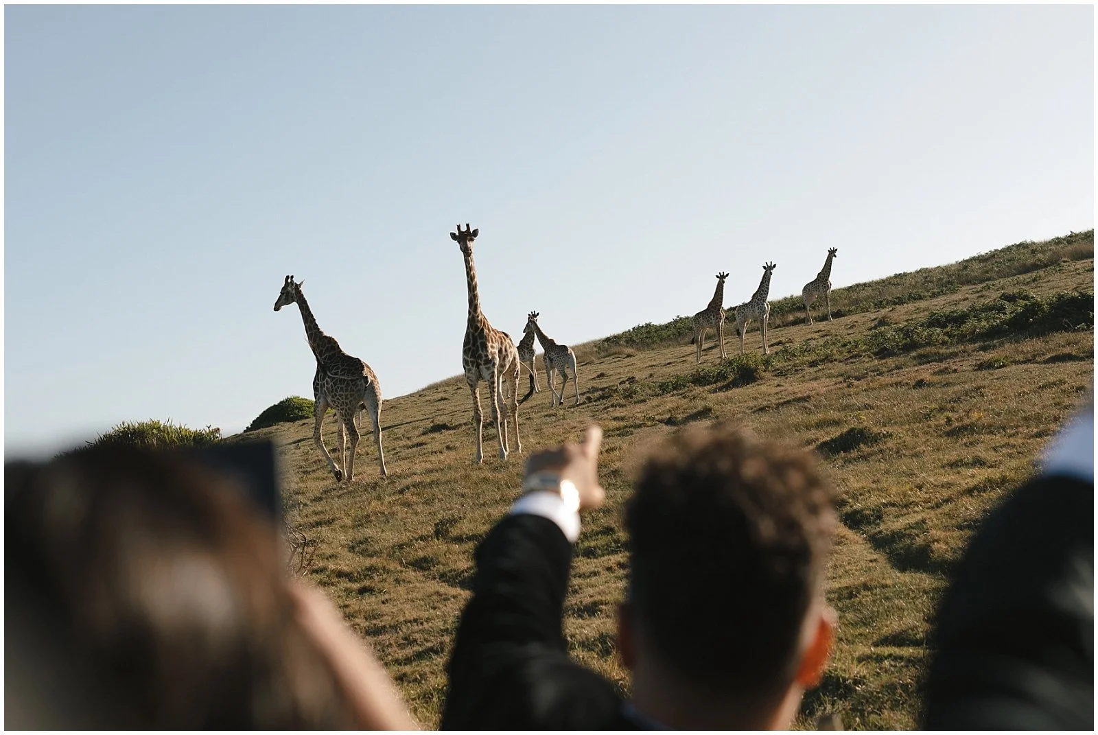 David-and-Channing-Wedding-Photography-Royalston-Lakehouse-Port-Elizabeth_072.jpg