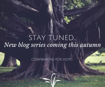 Stay Tuned...