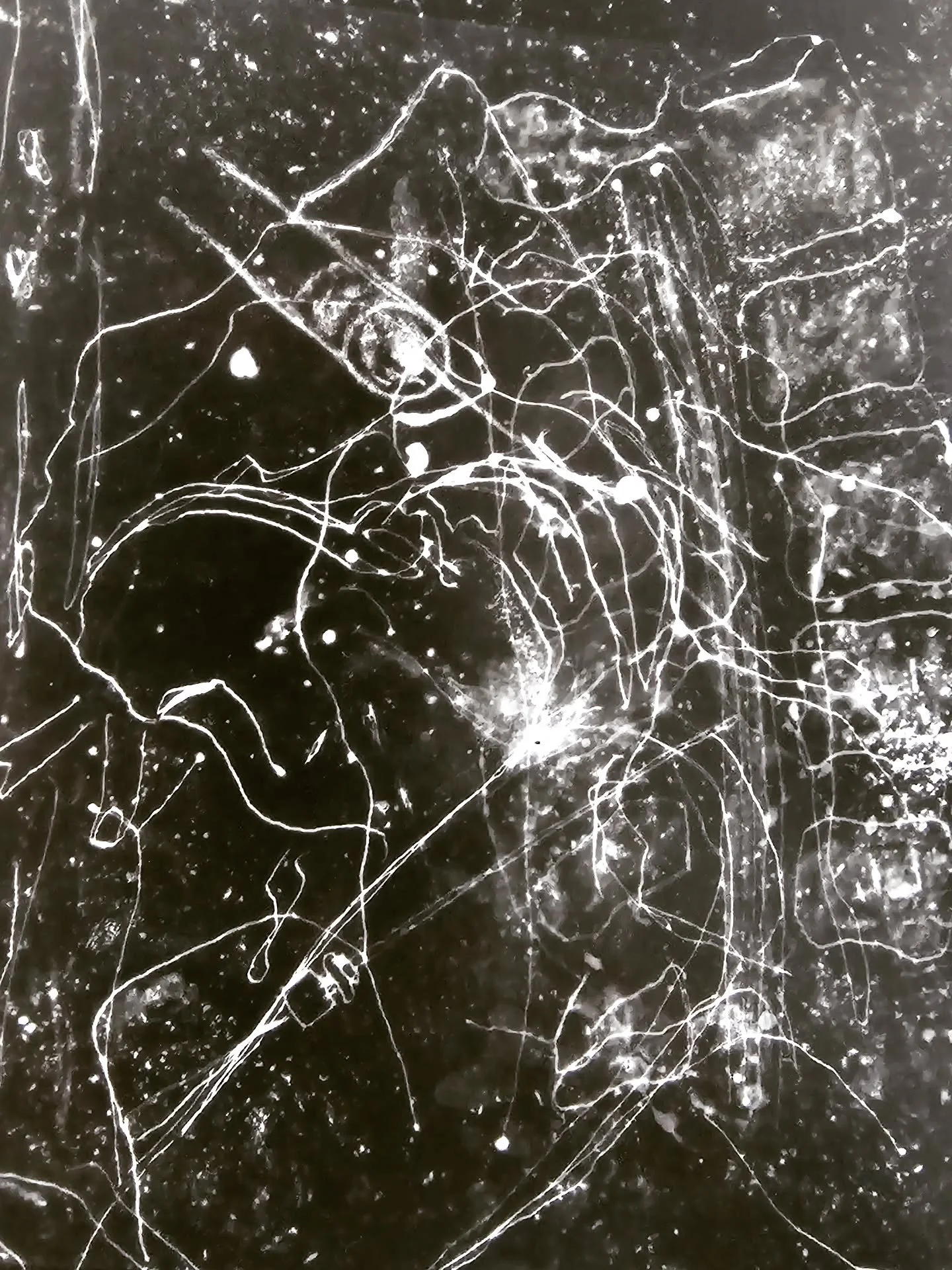 S T U D I O  O B S E R V A T I O N S

Sitting in my studio, I look up at the wall where I have hung my first Photograms in created using my own drawings.
These were initially experiments, using previous ink drawings to see if I could create 'hand dra