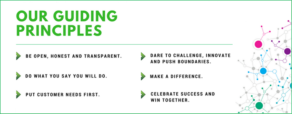 OPEX+Guiding+Principles.png
