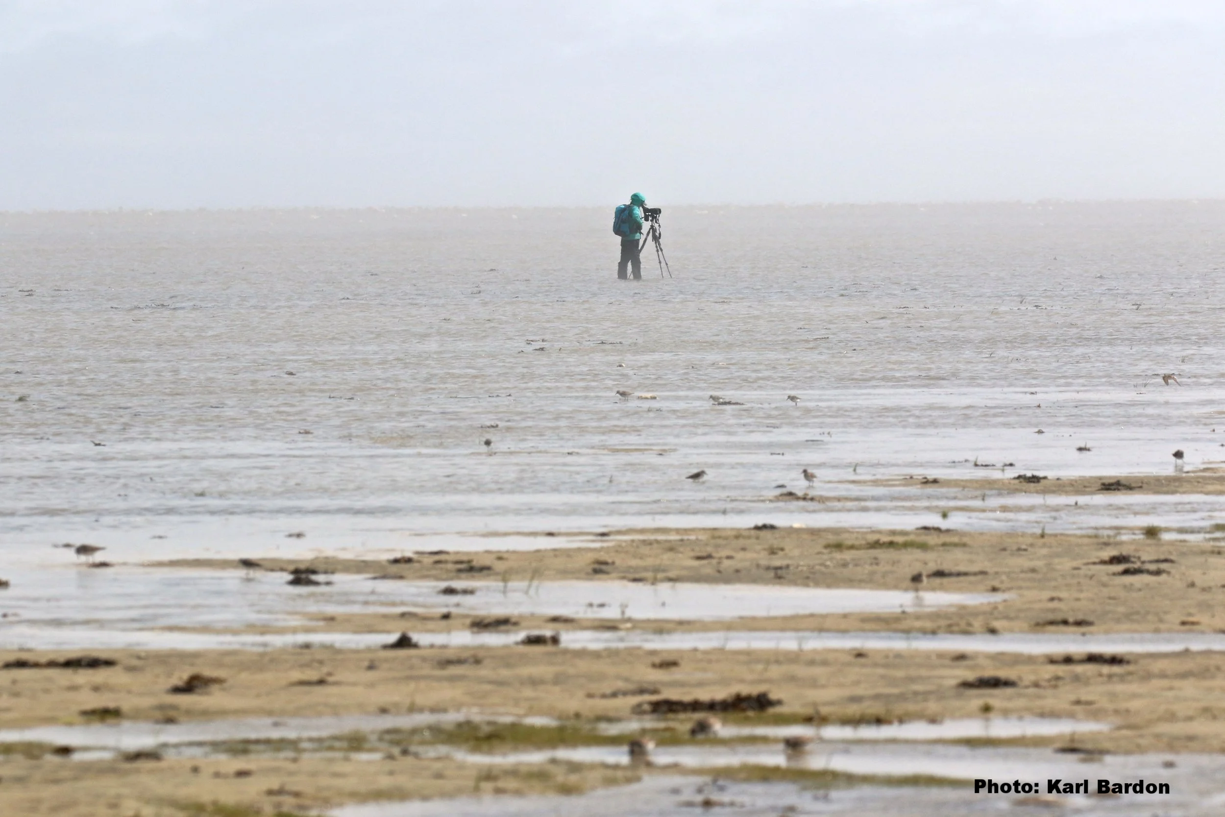 Surveying Piskwamish. Photo courtesy of Karl Bardon