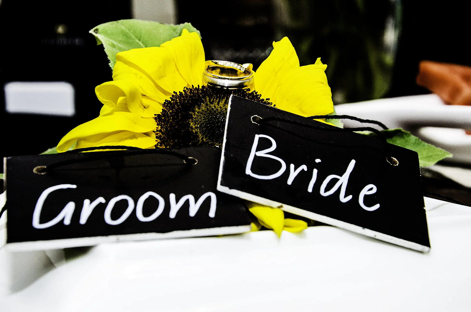 Nikki&DylanWedding-81.jpg