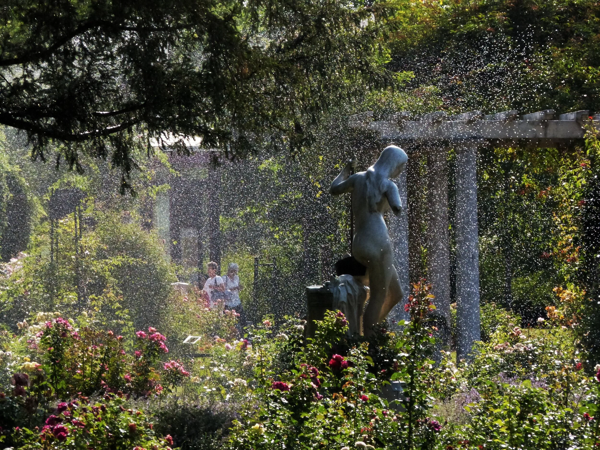Summer Rain Magic: WILD GARDEN