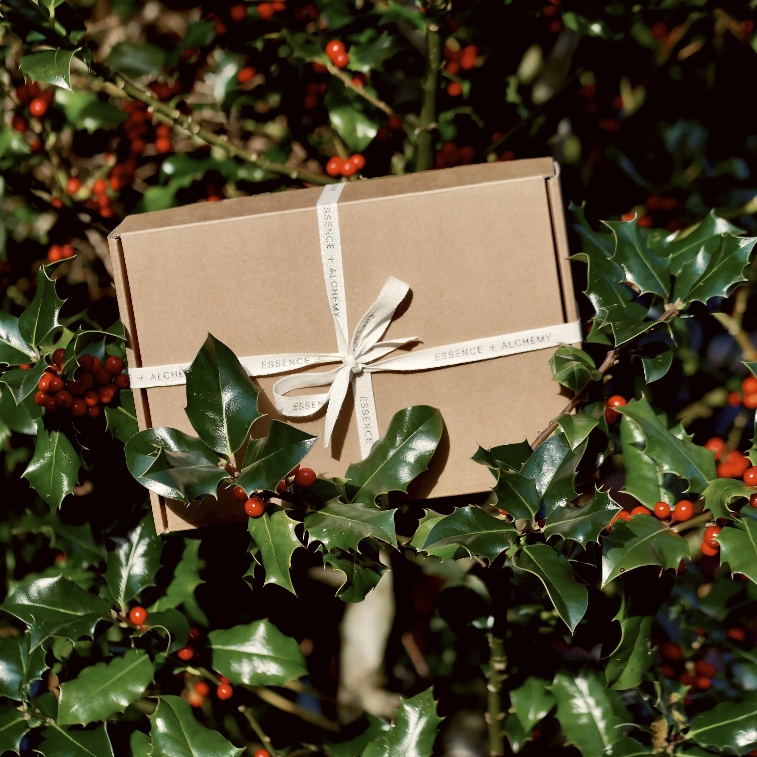 Winter Ritual Kit 2025