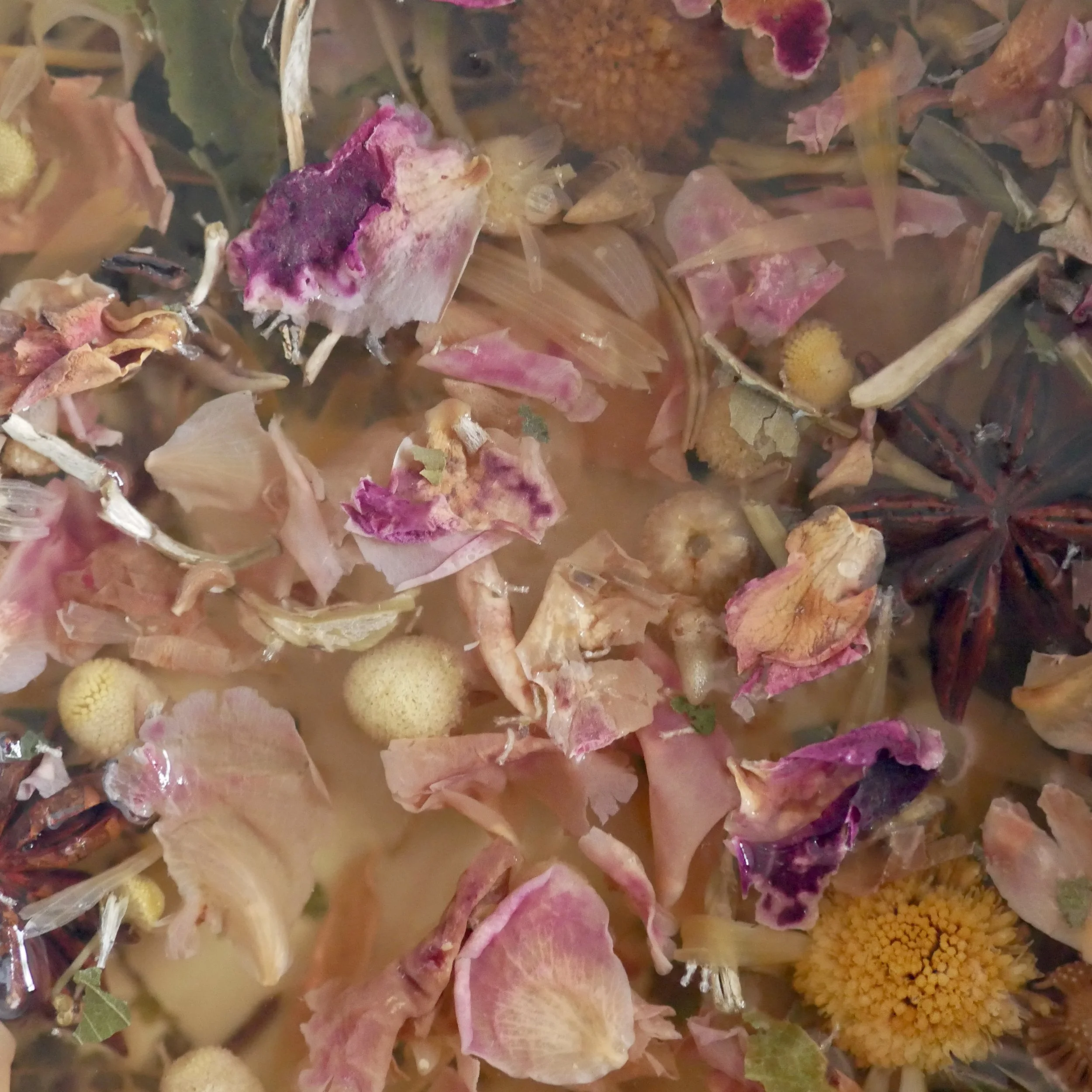 Botanial Facial Steam