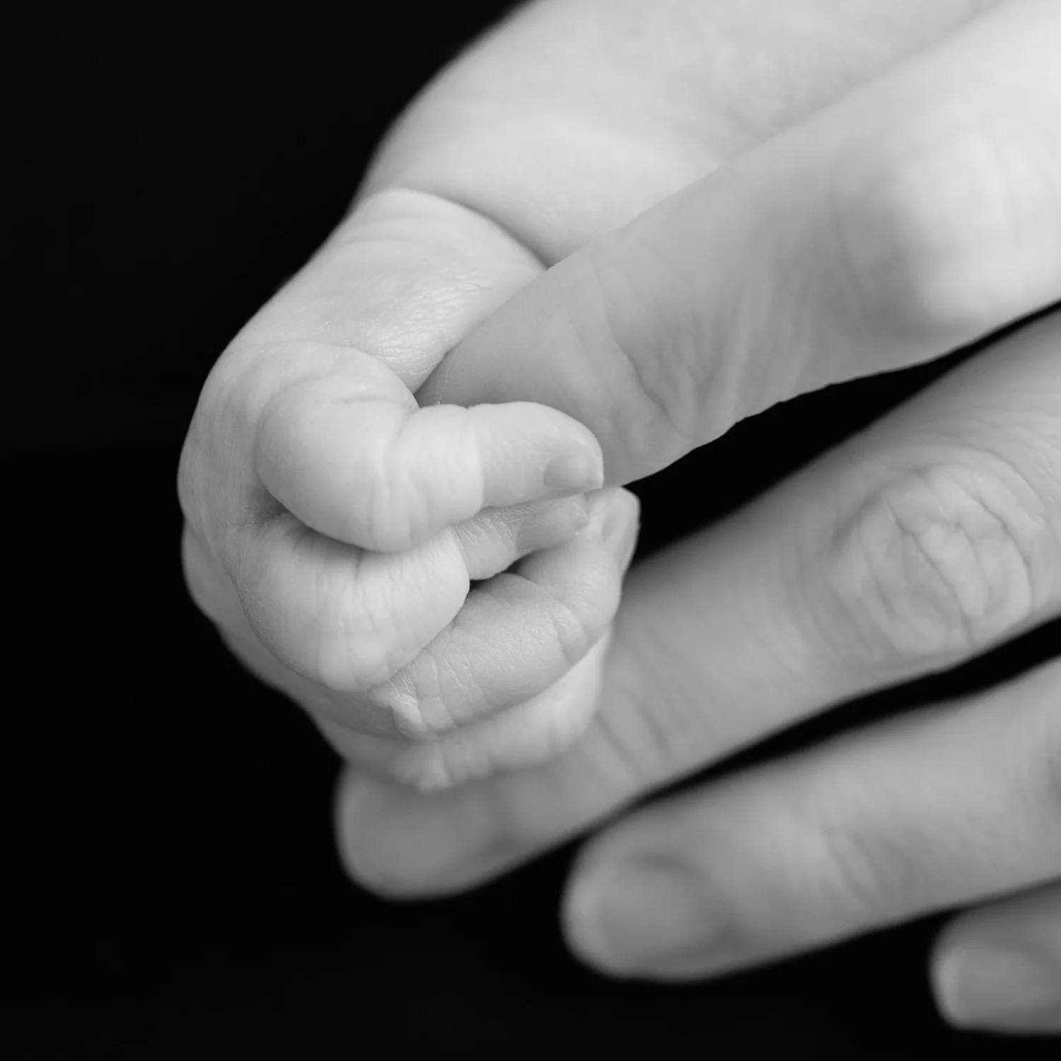 20140314_Liesl_1304.jpg
