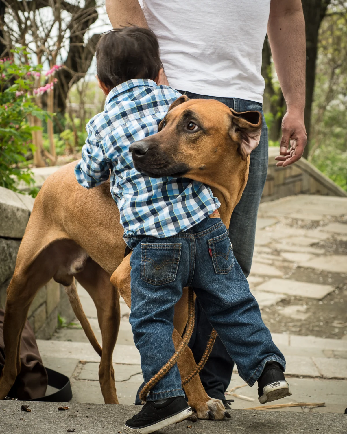 20150509_Zane_1747.jpg
