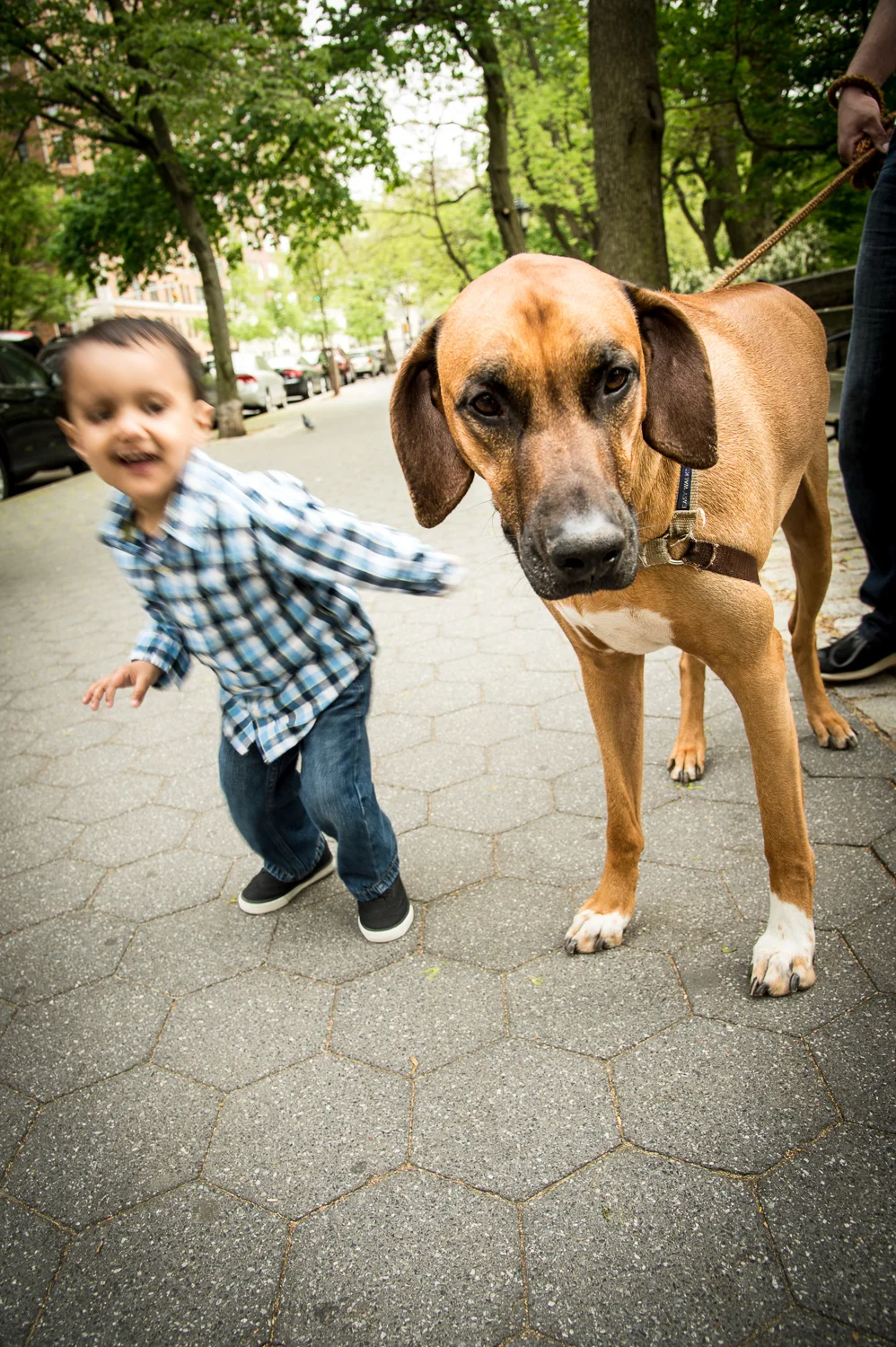 20150509_Zane_1177.jpg