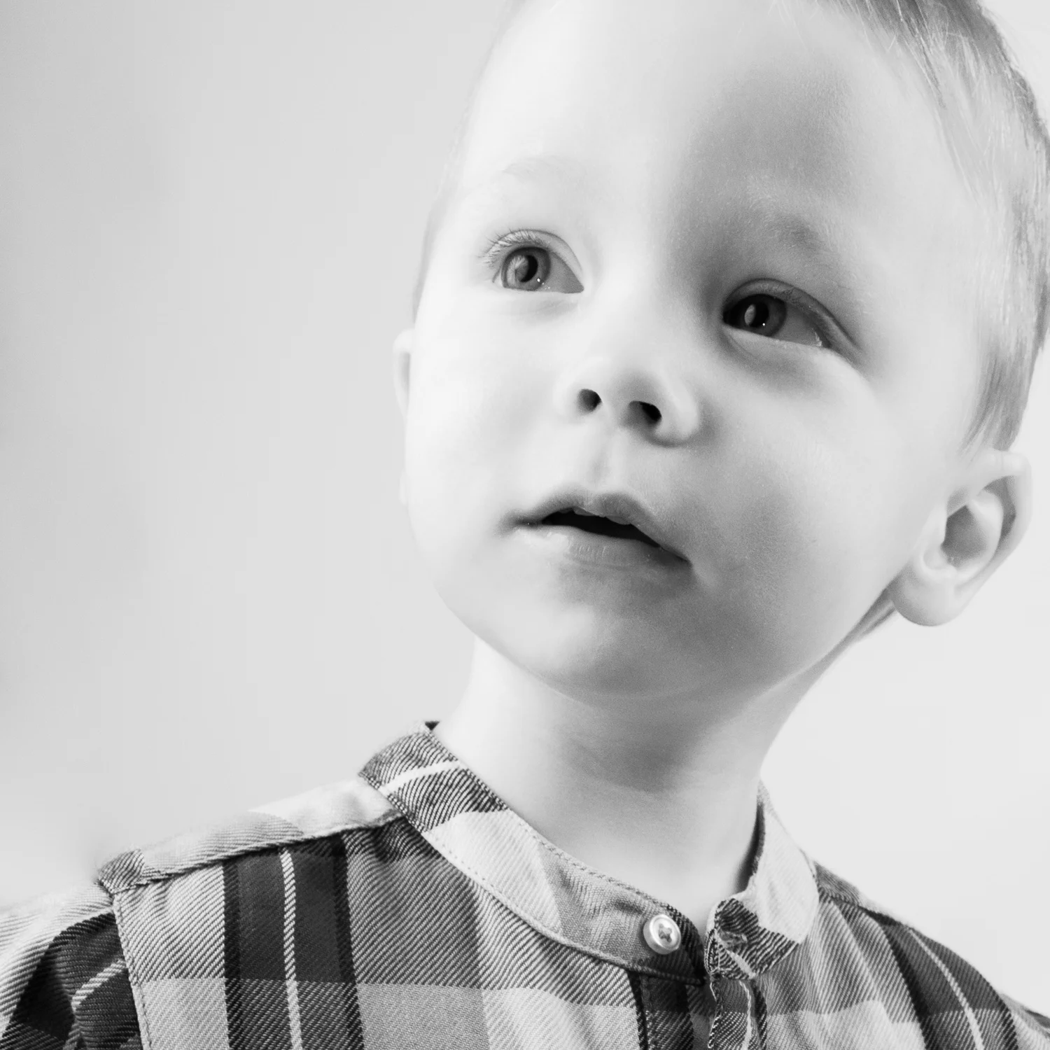 20130308_mantell_0196-Edit.jpg