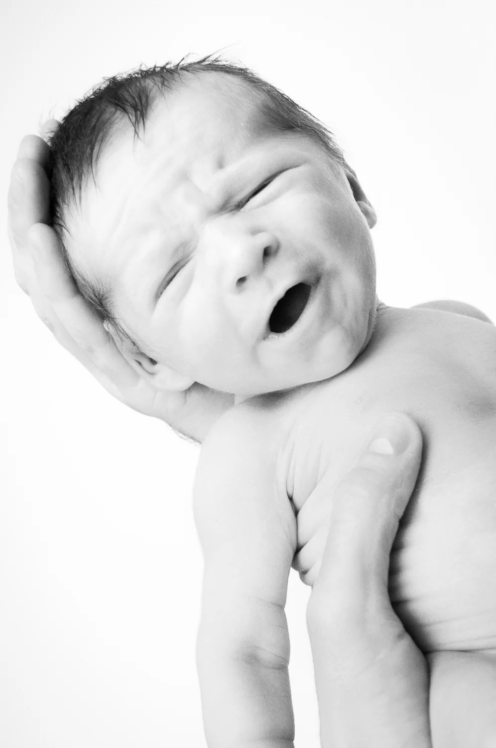 20100819_decker3_0130-Edit.jpg