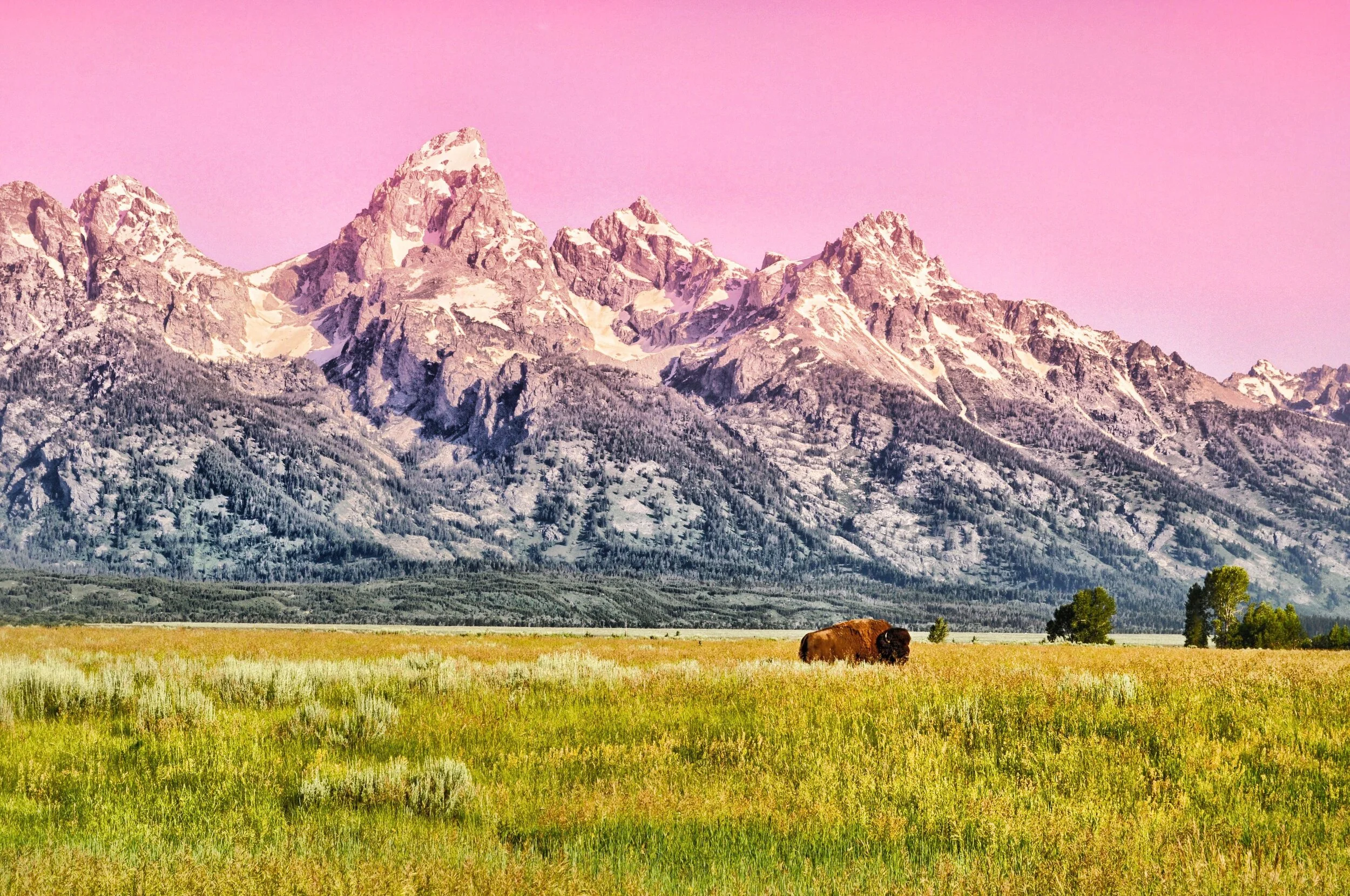 Tetons