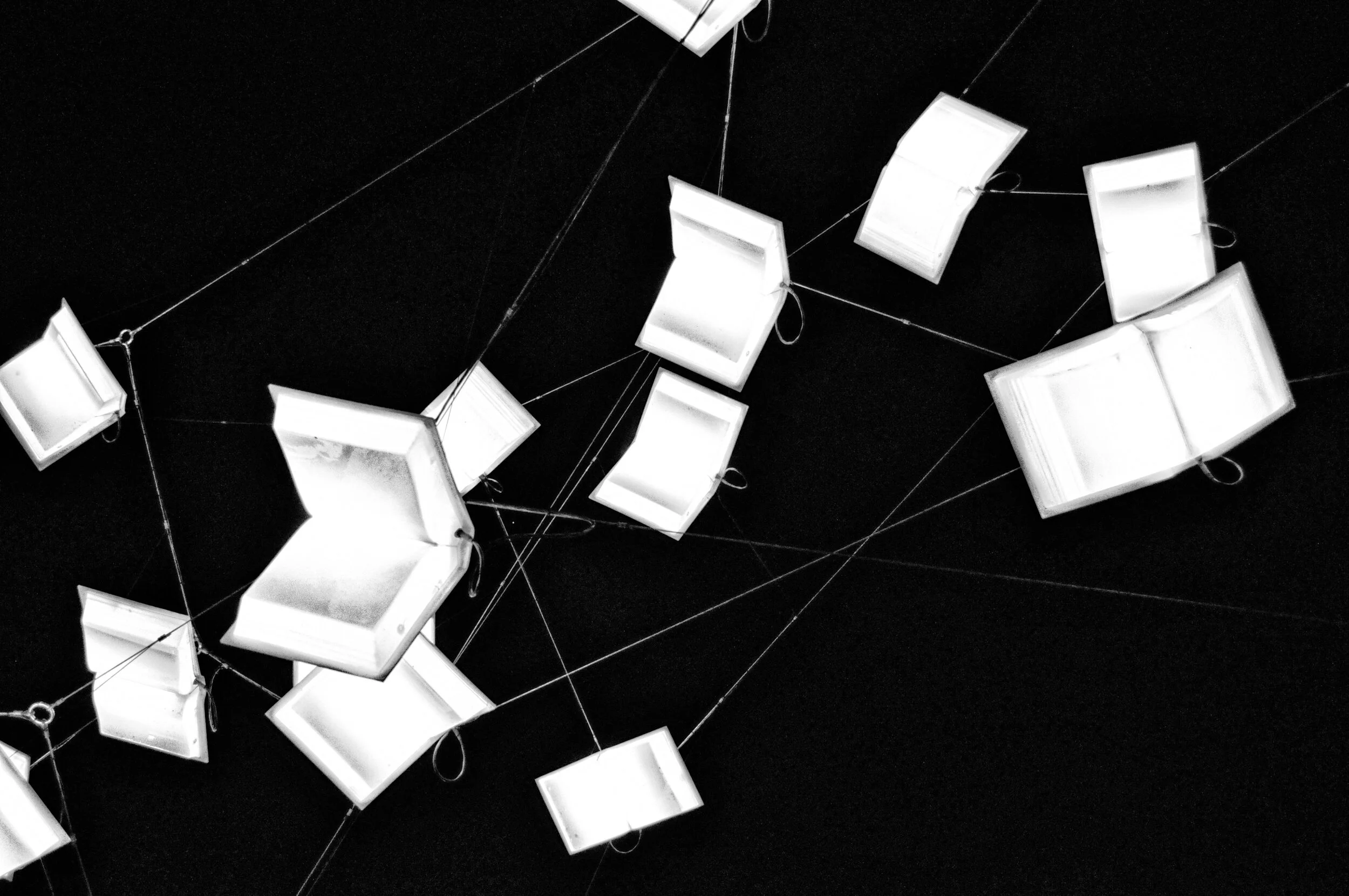 Language of the Birds