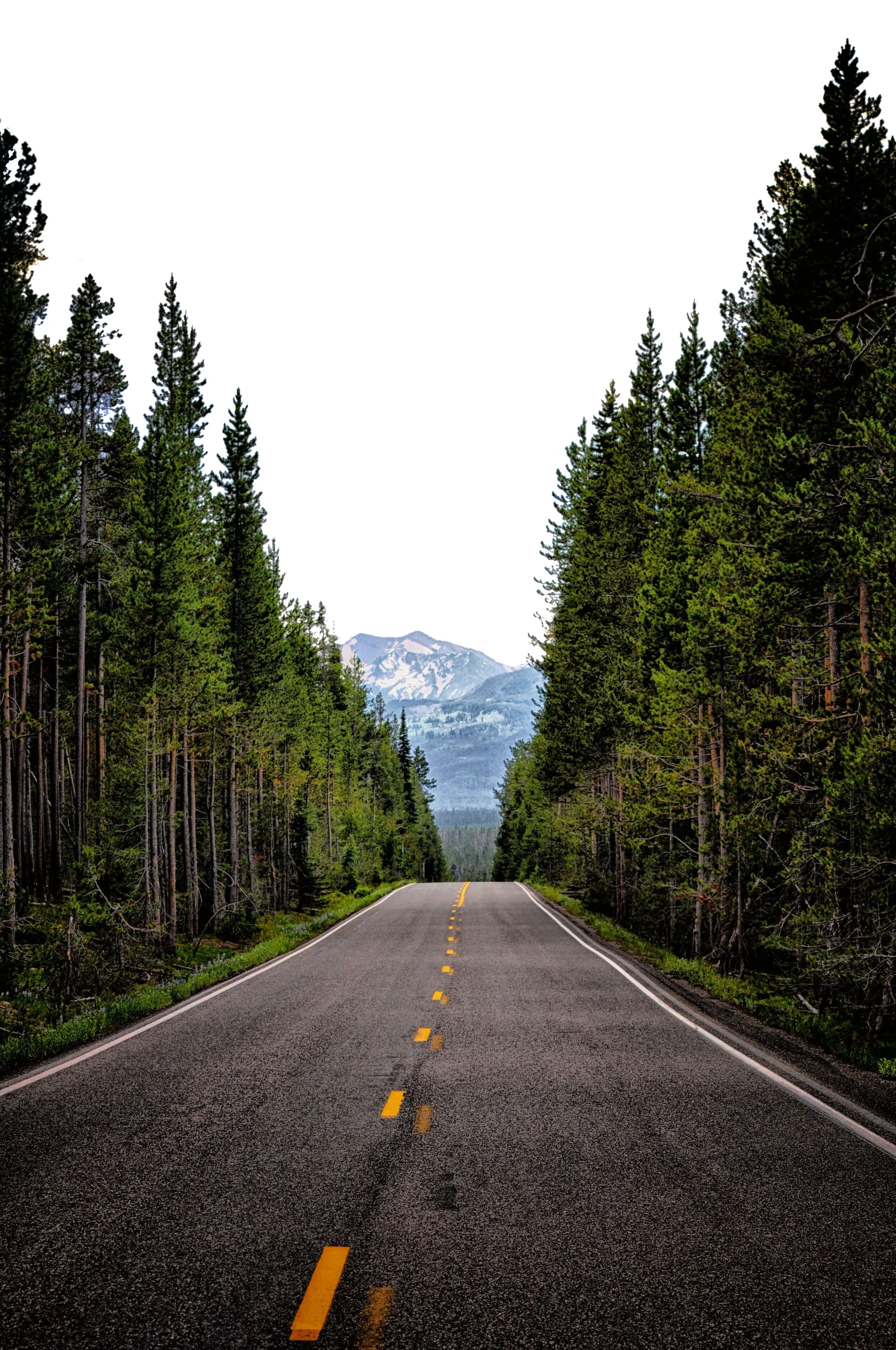 Down the Road