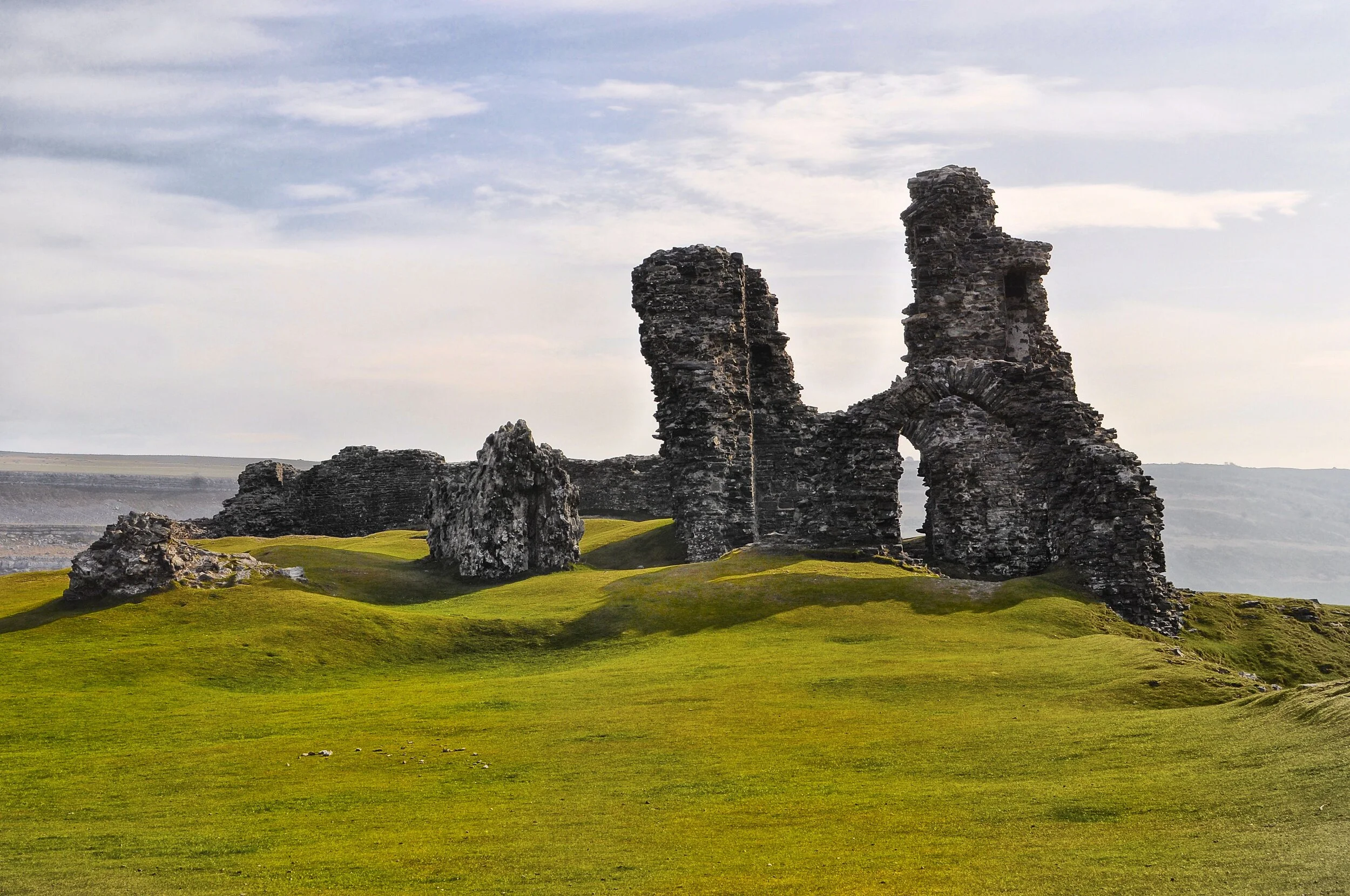Daffodils: Reflecting on Wales