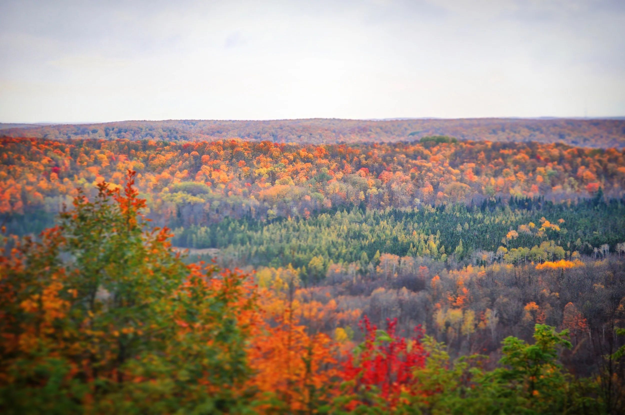 Up North