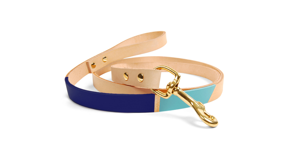 Eastwood Colorblock Leash in Navy & Seafoam by SON of a SAILOR