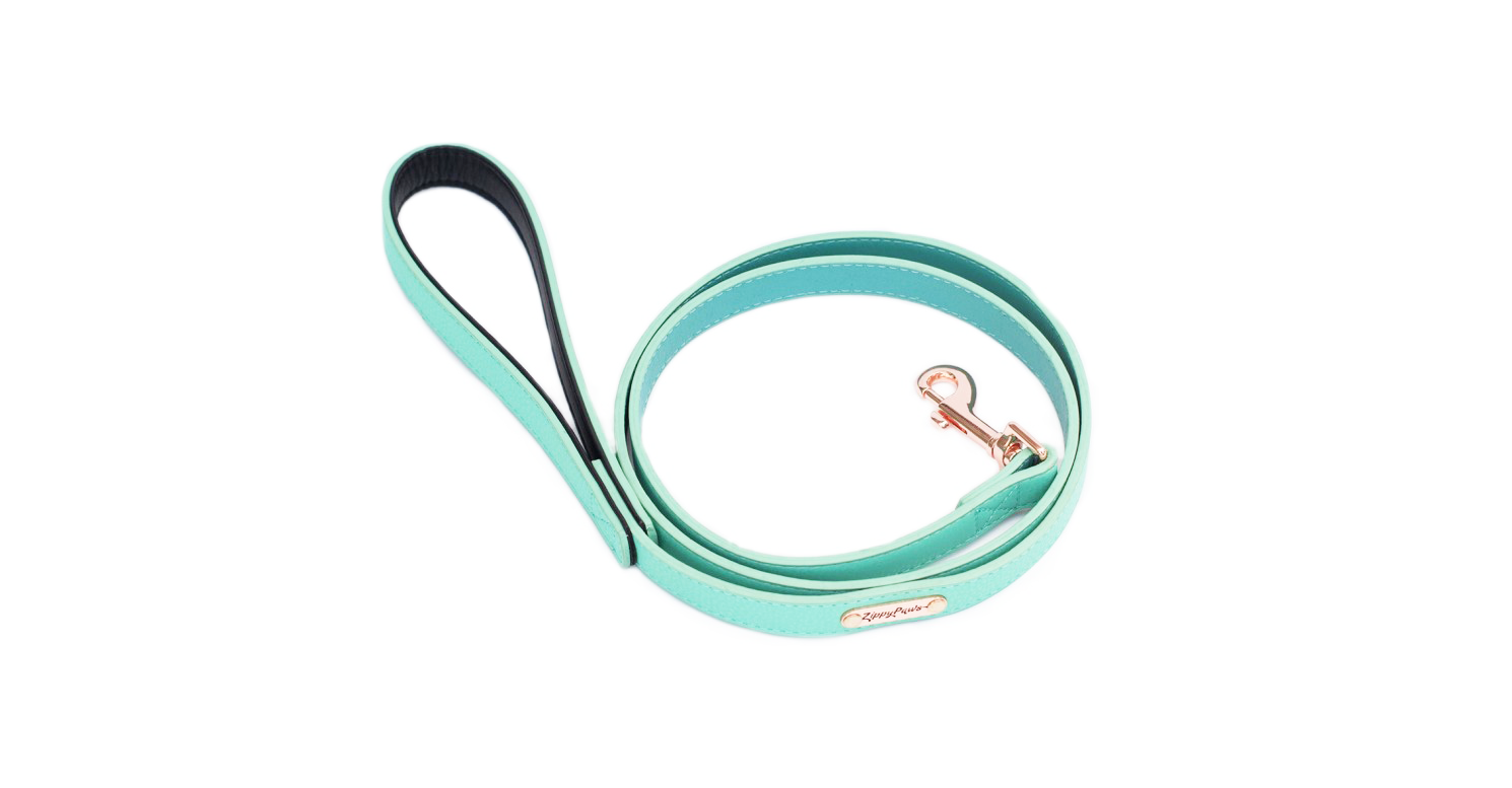 Vivid Collection Leash - Teal