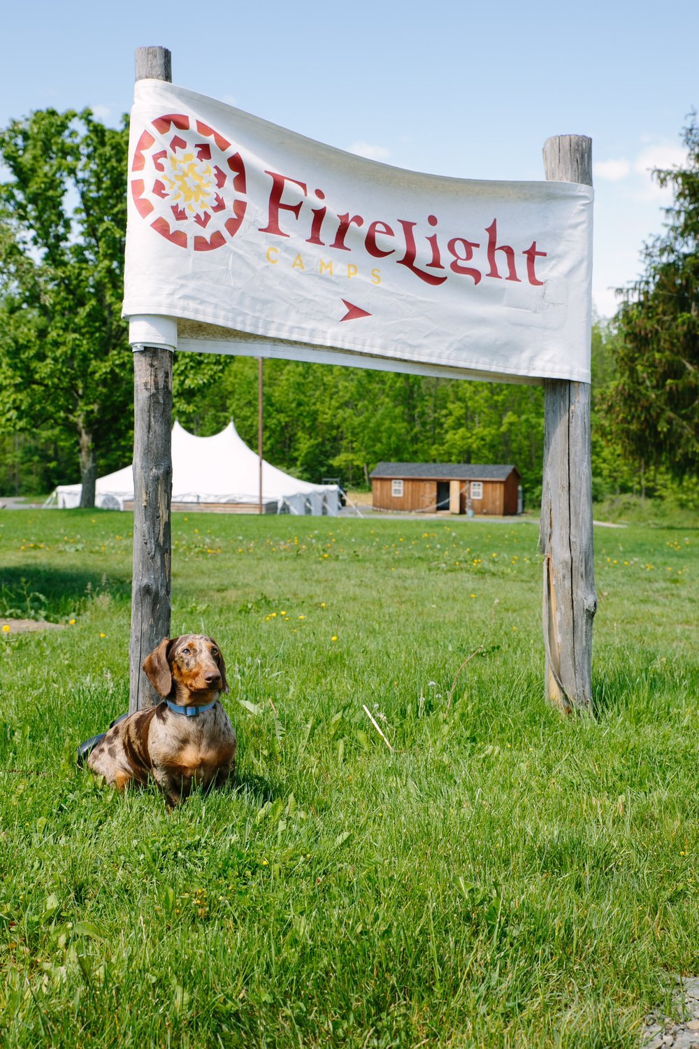  Dave at Firelight Camps 