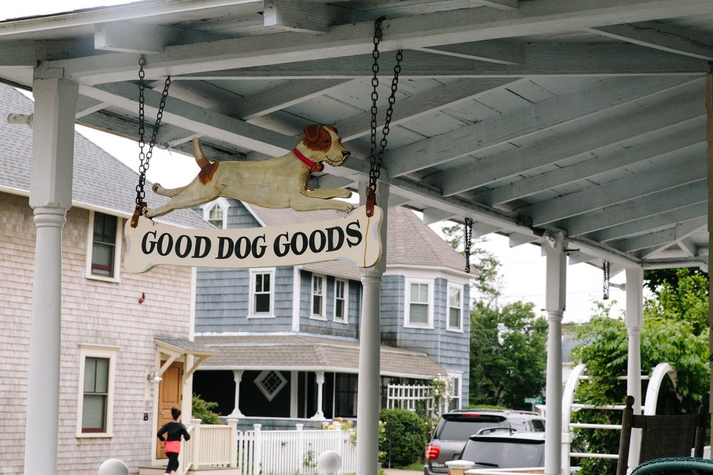  Good Dog Goods in Oak Bluffs 