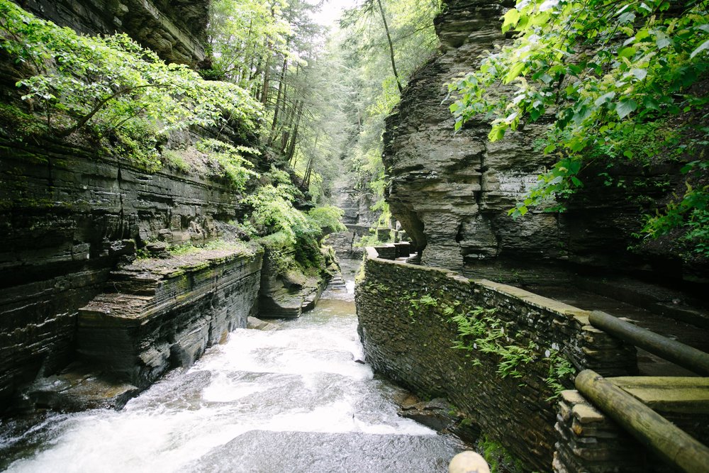  Hiking in Robert Treman State Park 