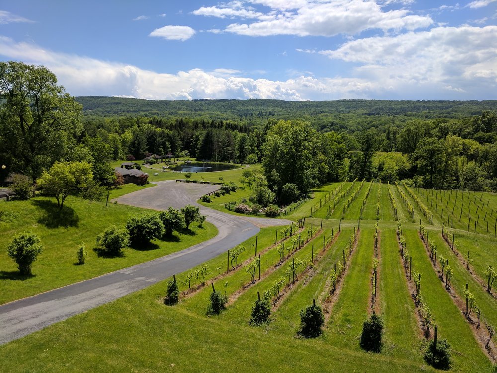  View from Six Mile Creek Winery 