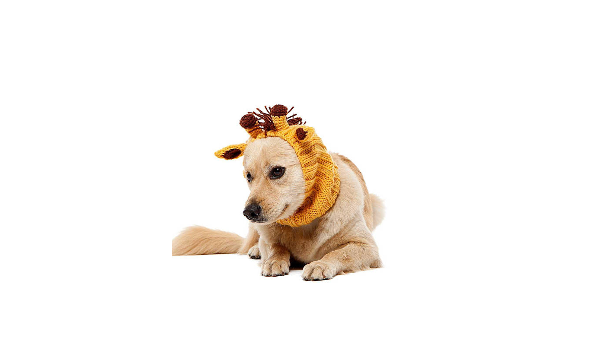 Giraffe Snood on Etsy