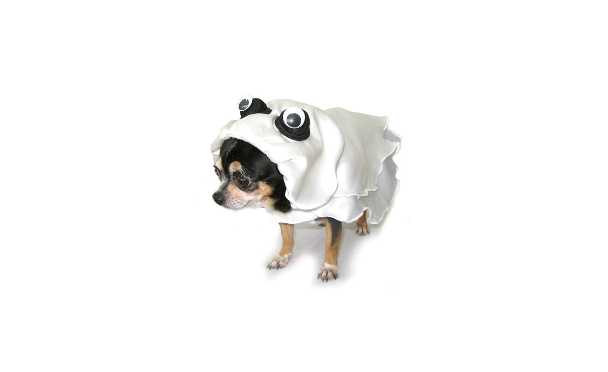   Ghost Dog Costume on Amazon  