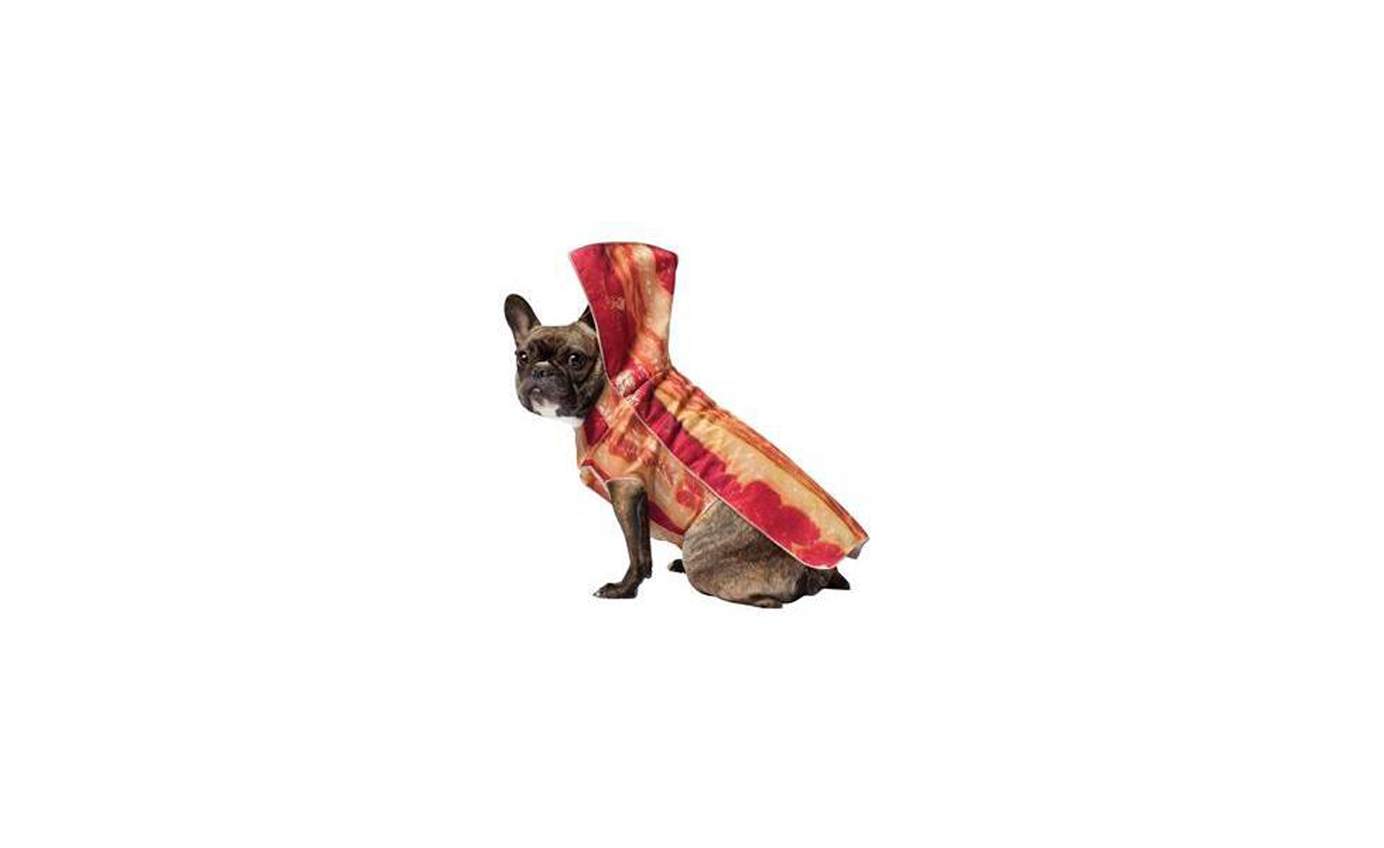   Bacon Dog Costume at Jet.com  