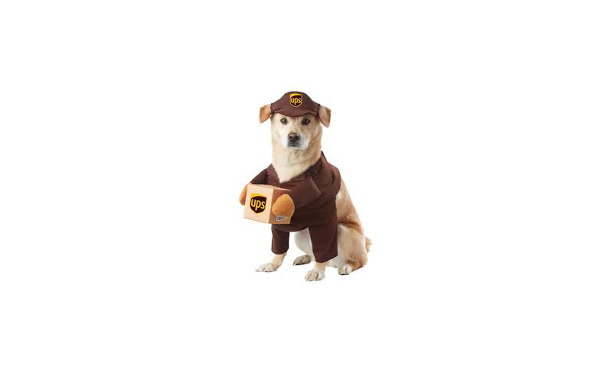   UPS Dog Costume on Amazon  