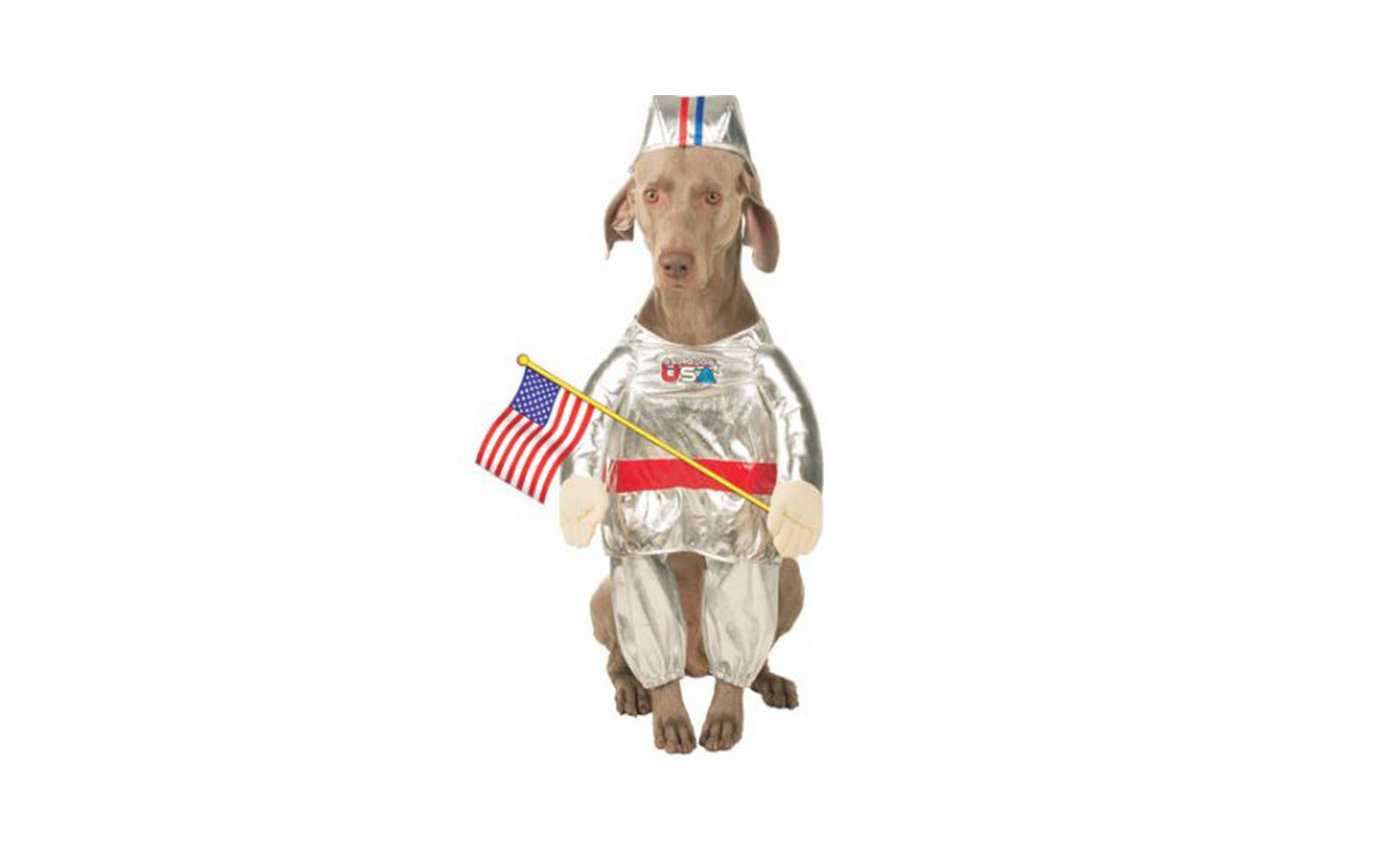 Astronaut Dog Costume at Jet.com