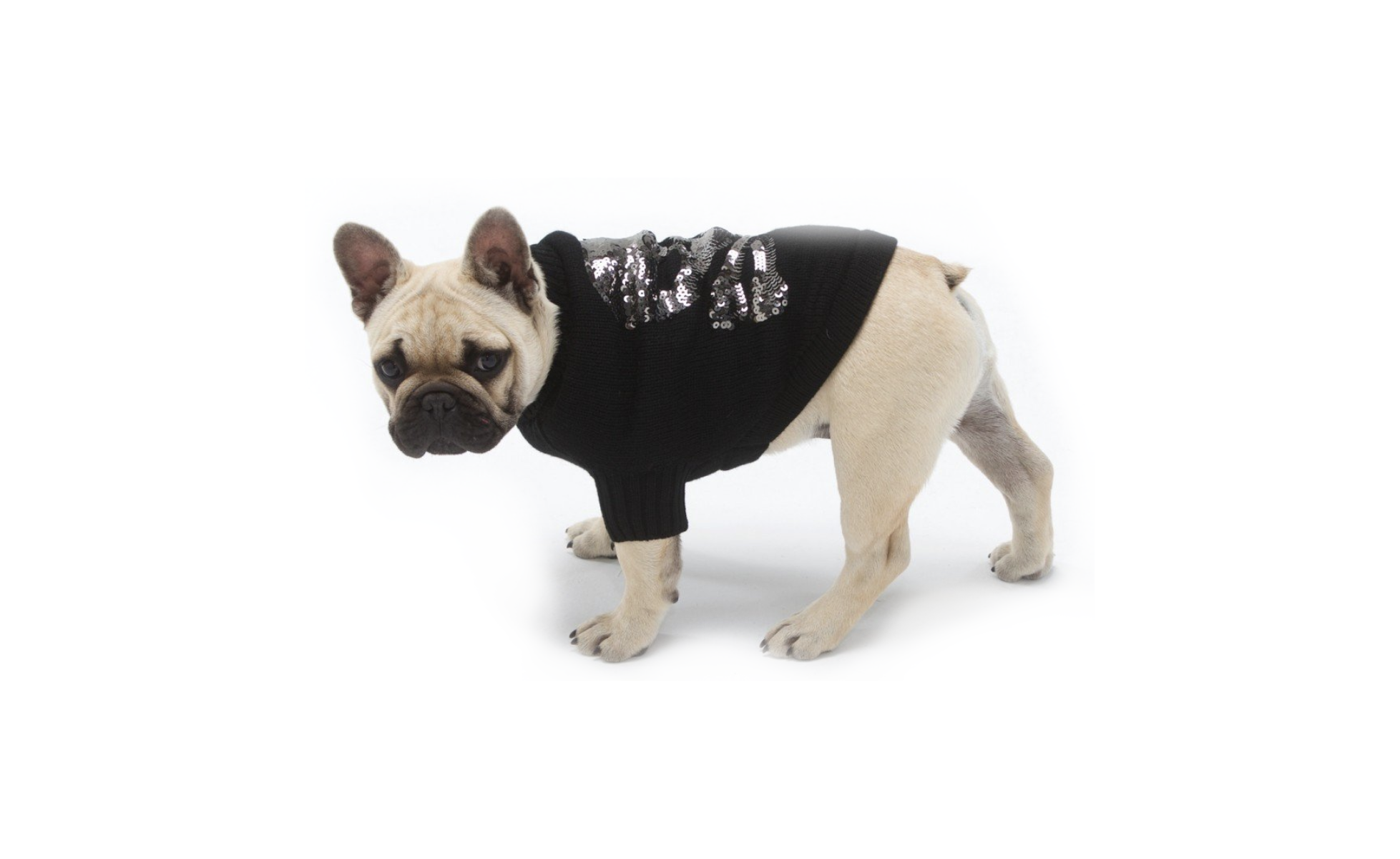 Sequin Skull Dog Sweater