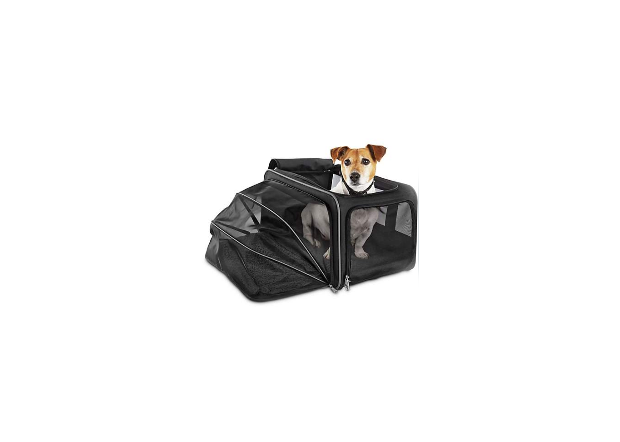   Dog Carrier Expandable  