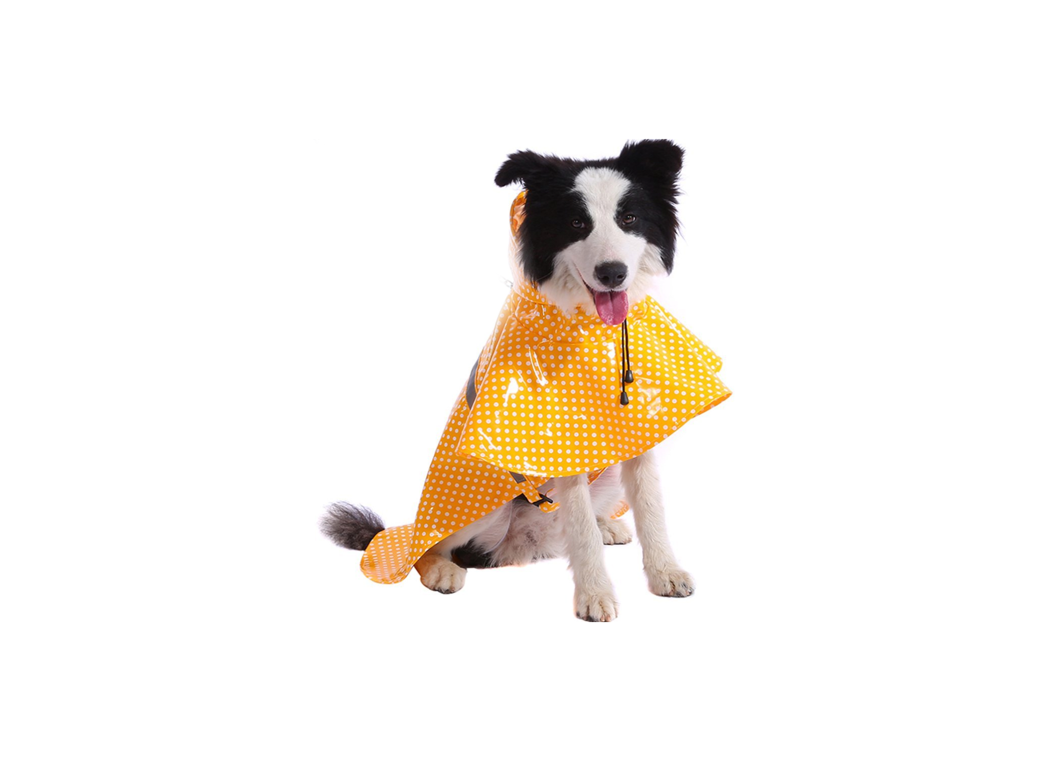 Bulabudy Raincoat
