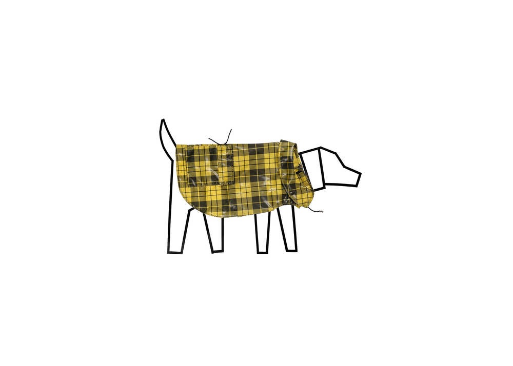 Ware of the Dog Plaid Anorak in Yellow