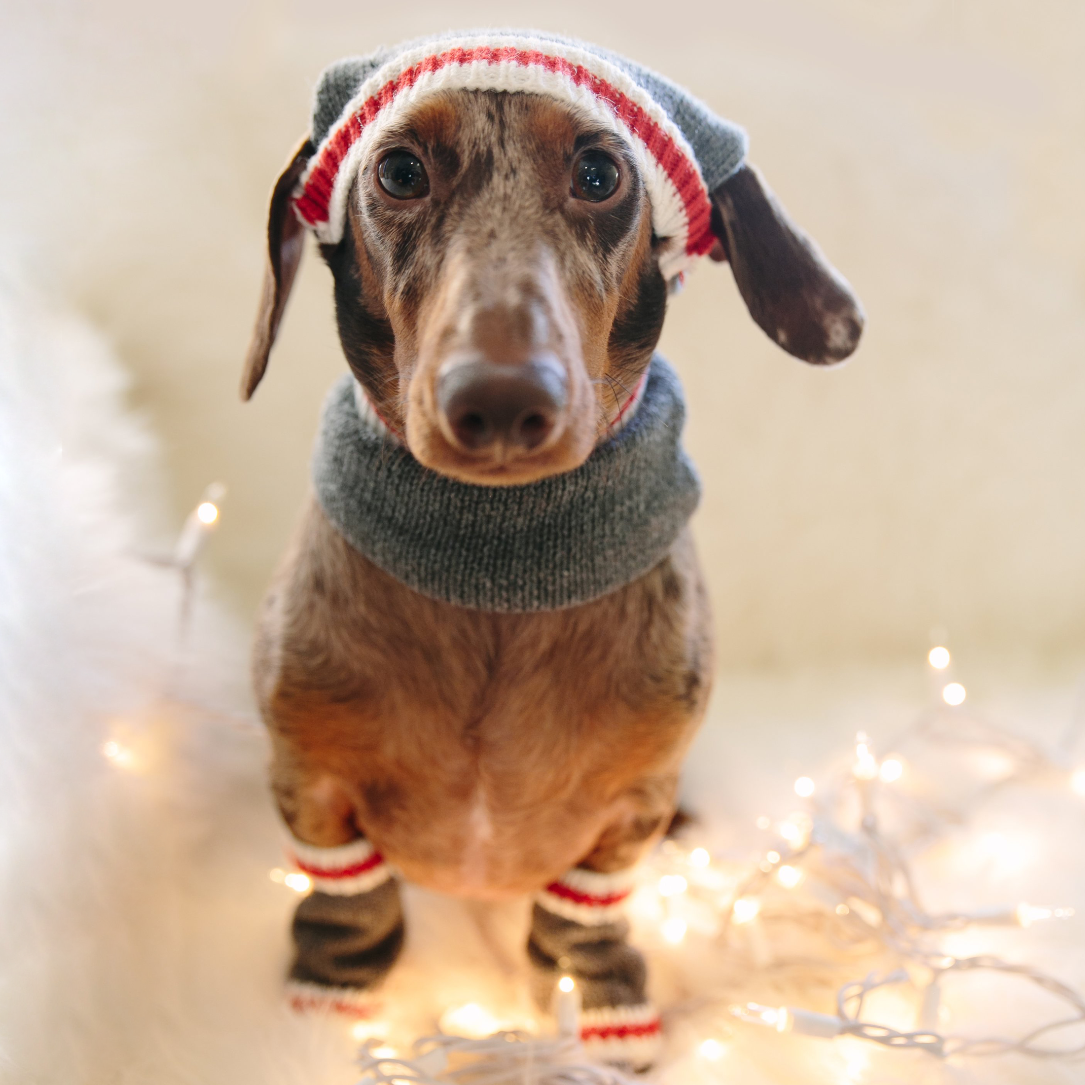 We're ready for the snow