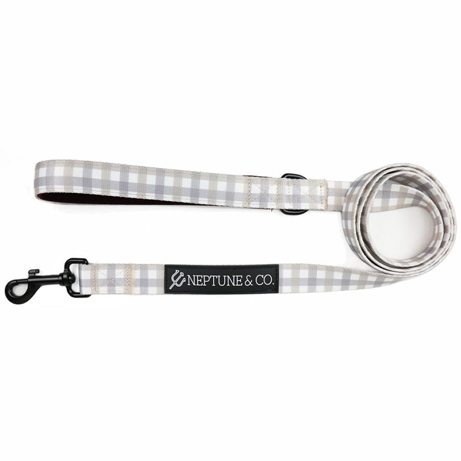 Plaid Out Dog Leash from Neptune & Co. 