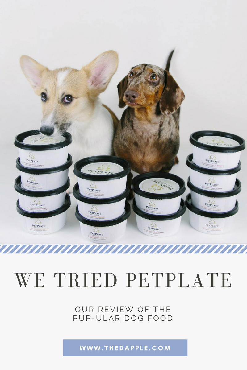 puppy plate dog food