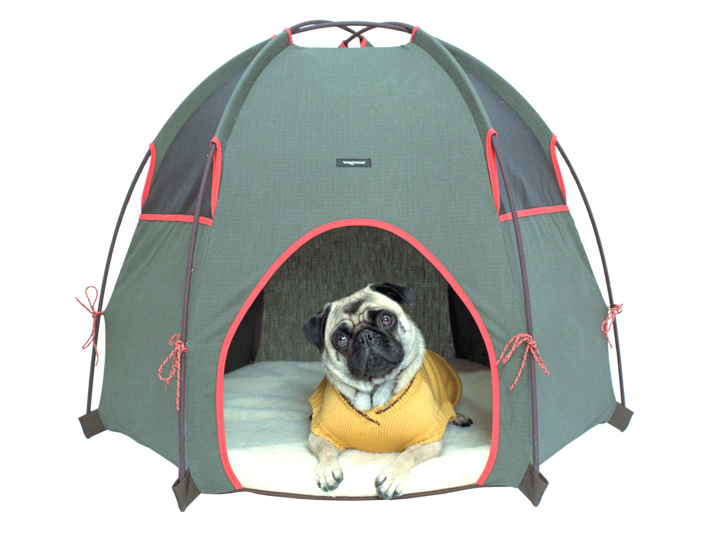 Image courtesy of wagwear