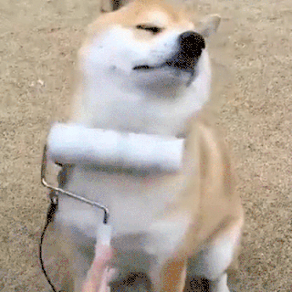 giphy-downsized-large.gif