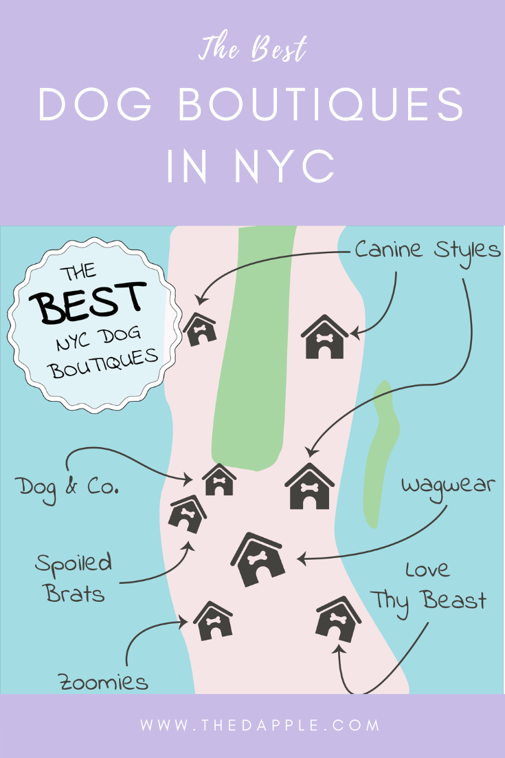 Our Favorite Dog Stores in NYC