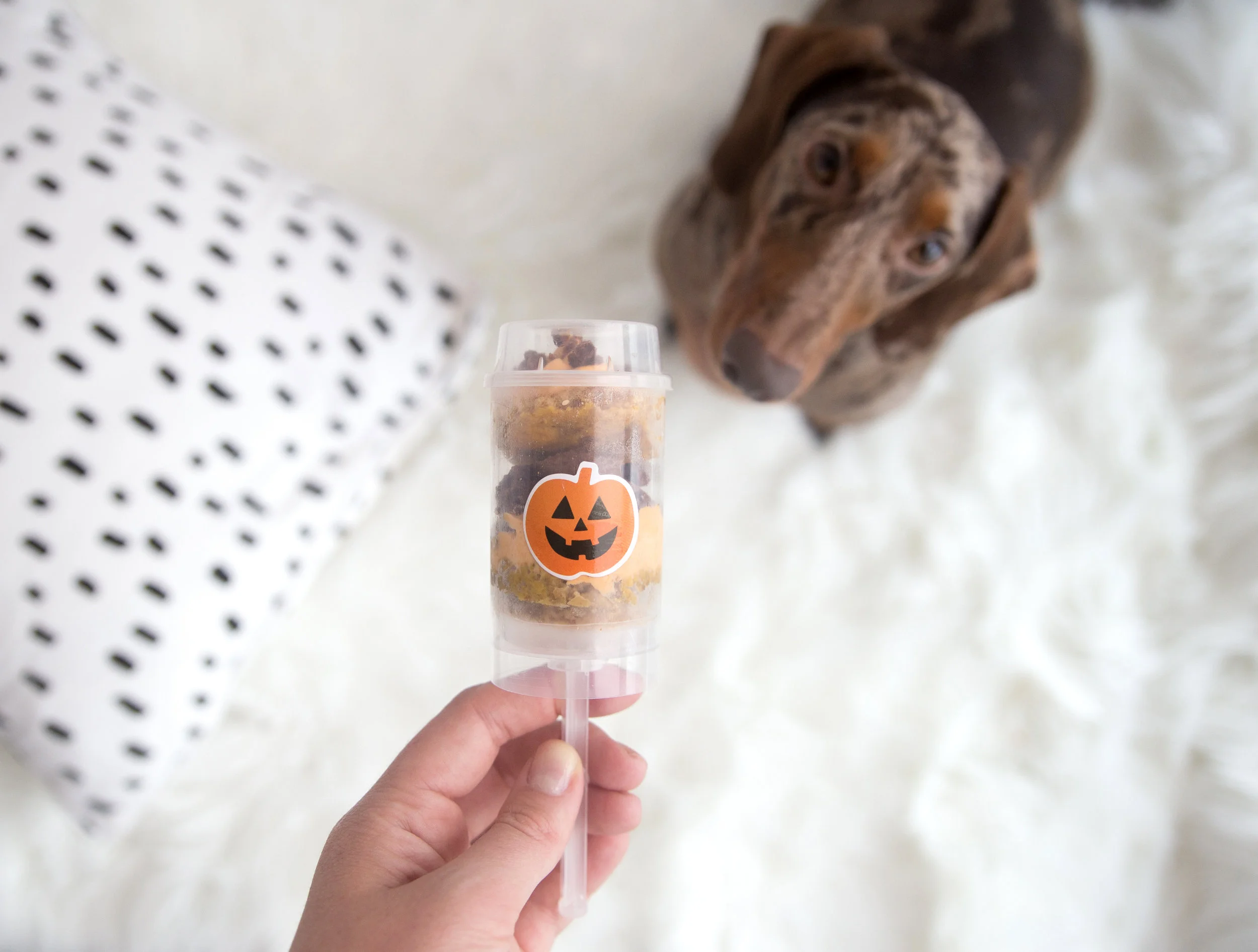 DIY Halloween PushPop Dog Treats
