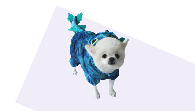 Dragon Dog Halloween Costume from Amazon