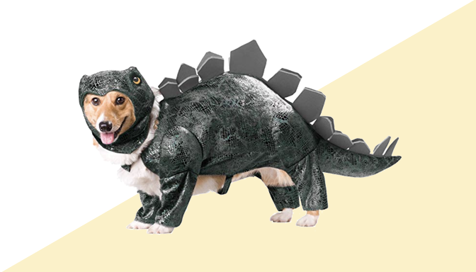 Stegosaurous Dog Halloween Costume from Amazon