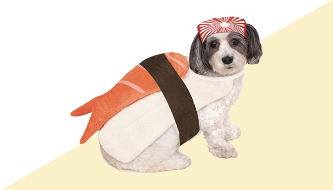 Sushi Dog Halloween Costume from Amazon